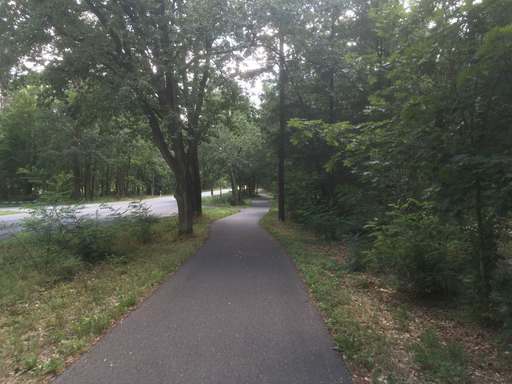 Fangschleuse Bahnhof, L 23, Grünheide, Grünheide (Mark), Oder-Spree, Brandenburg, 15537, Germany