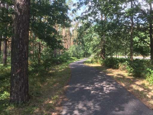 L 23, Grünheide, Grünheide (Mark), Oder-Spree, Brandenburg, 15537, Germany