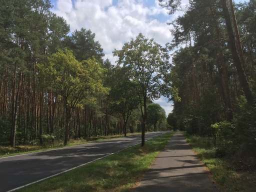 Gestell E, Mönchwinkel, Grünheide (Mark), Oder-Spree, Brandenburg, 15537, Germany