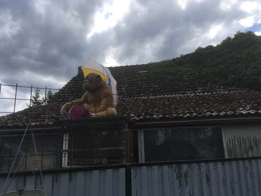 Chausseestraße, Schlößchen, Hartmannsdorf, Spreenhagen, Oder-Spree, Brandenburg, 15528, Germany