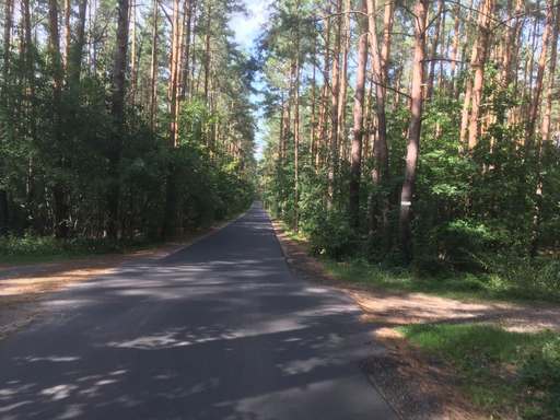 Hartmannsdorf-Stäbchen, Hartmannsdorf, Spreenhagen, Oder-Spree, Brandenburg, 15528, Germany