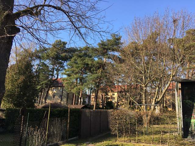 4, Kleine Straße, Babelsberg Süd, Babelsberg, Potsdam, Brandenburg, 14482, Germany