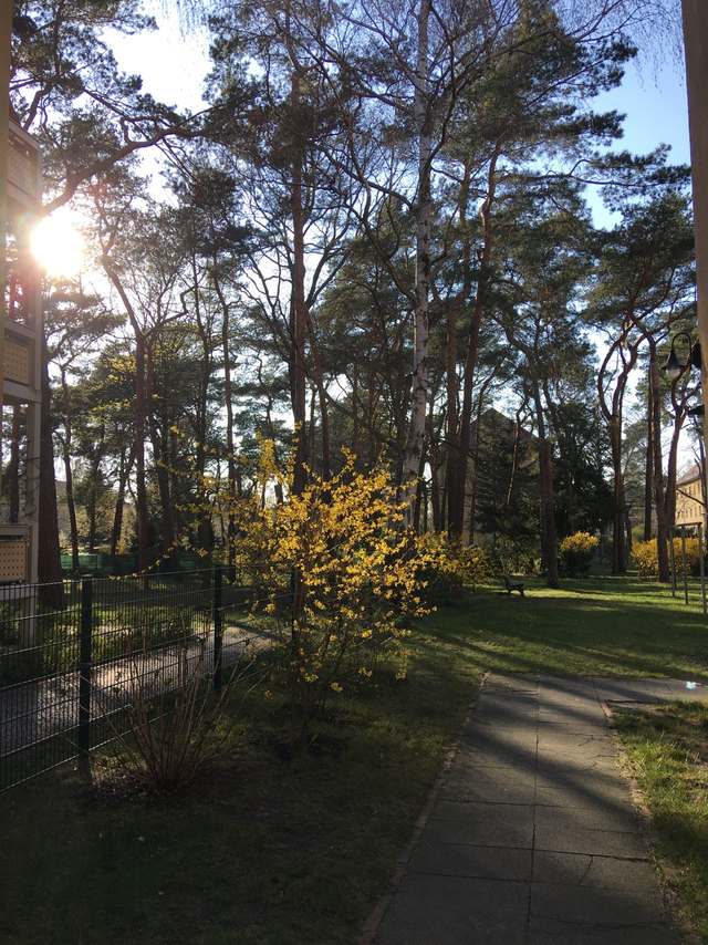 Kleine Str. 9, 14482 Potsdam, Kleine Straße, Babelsberg Süd, Babelsberg, Potsdam, Brandenburg, 14482, Germany