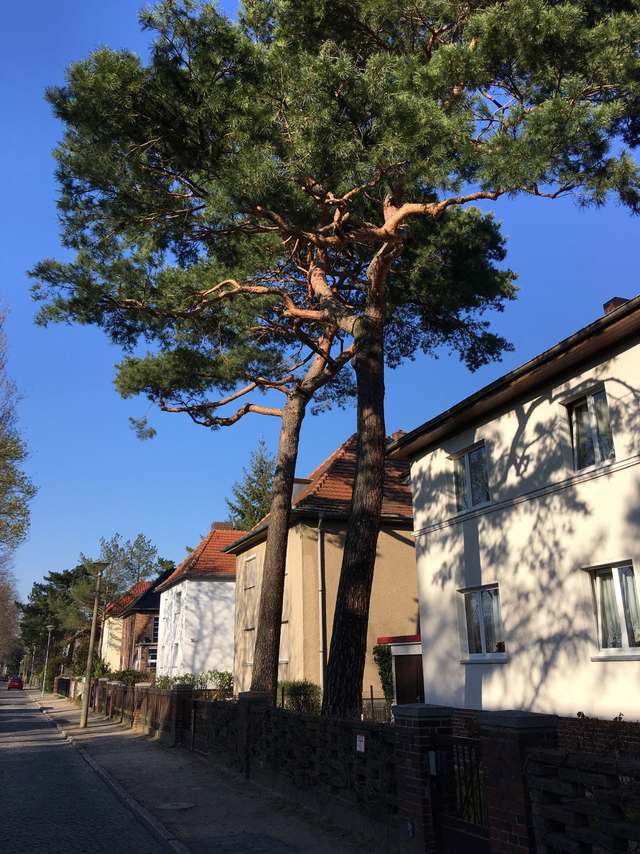 3, Am Sportplatz, Babelsberg Süd, Babelsberg, Potsdam, Brandenburg, 14482, Germany