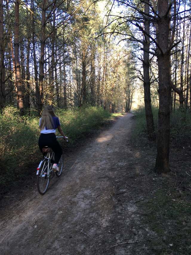 Bernhard-Beyer-Straße, Kohlhasenbrück, Wannsee, Steglitz-Zehlendorf, Berlin, 14109, Germany