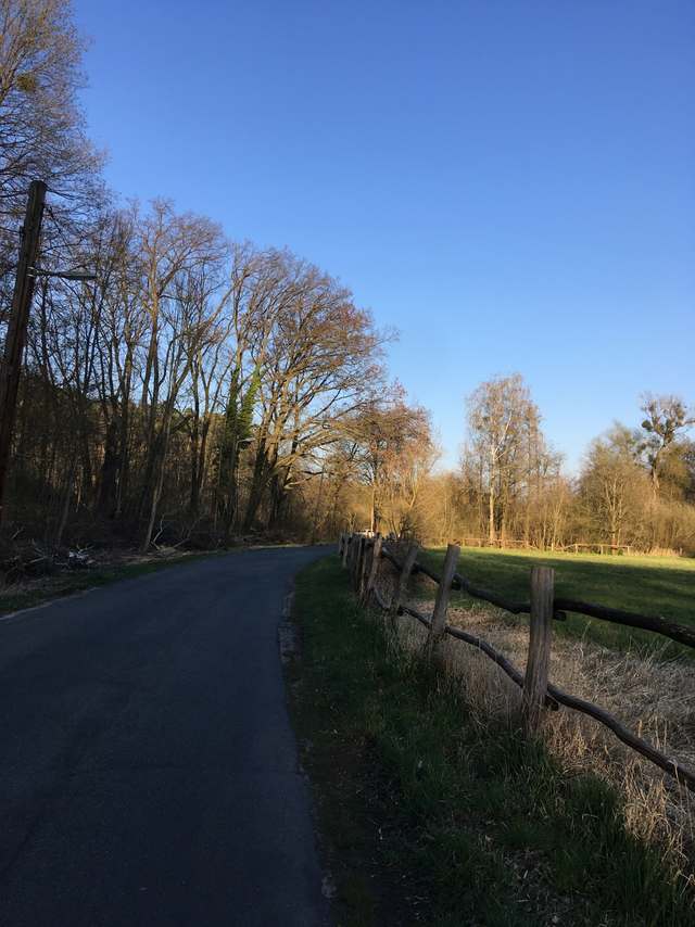 Kremnitzufer, Kohlhasenbrück, Wannsee, Steglitz-Zehlendorf, Berlin, 14109, Germany