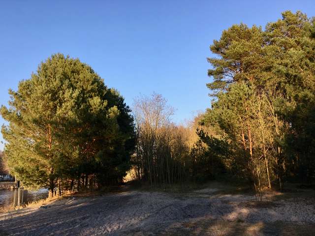 CityCamp Süd, Bäkehang, Dreilinden, Kleinmachnow, Potsdam-Mittelmark, Brandenburg, 14532, Germany