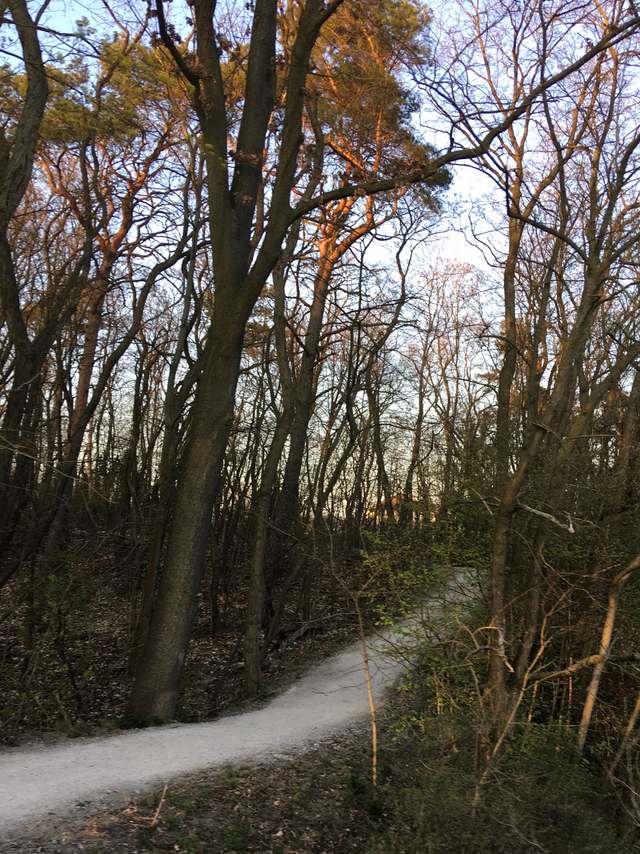 Friedensbrücke, Zehlendorfer Damm, Altes Dorf Kleinmachnow, Kleinmachnow, Potsdam-Mittelmark, Brandenburg, 14532, Germany
