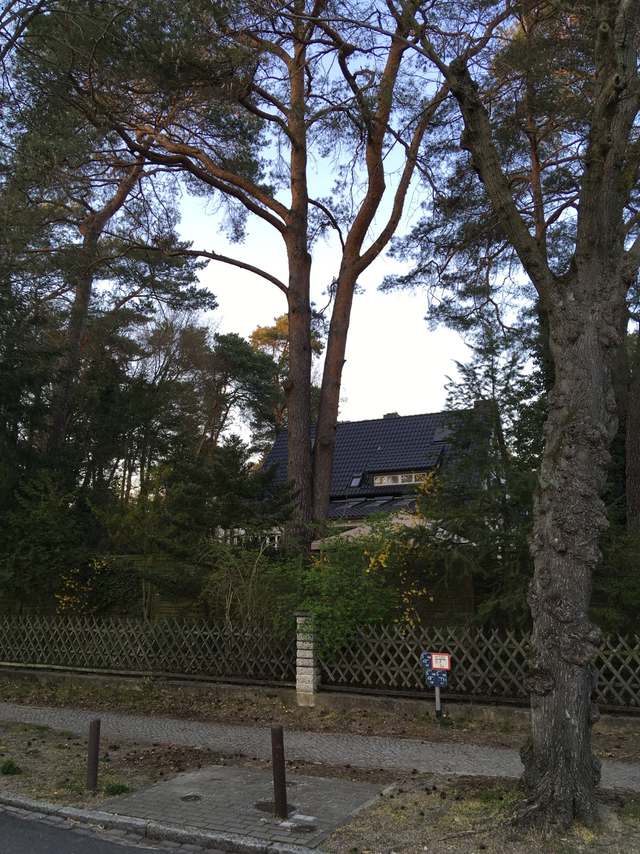 Freibad Kiebitzberge, 31, Fontanestraße, Kleinmachnow, Potsdam-Mittelmark, Brandenburg, 14532, Germany