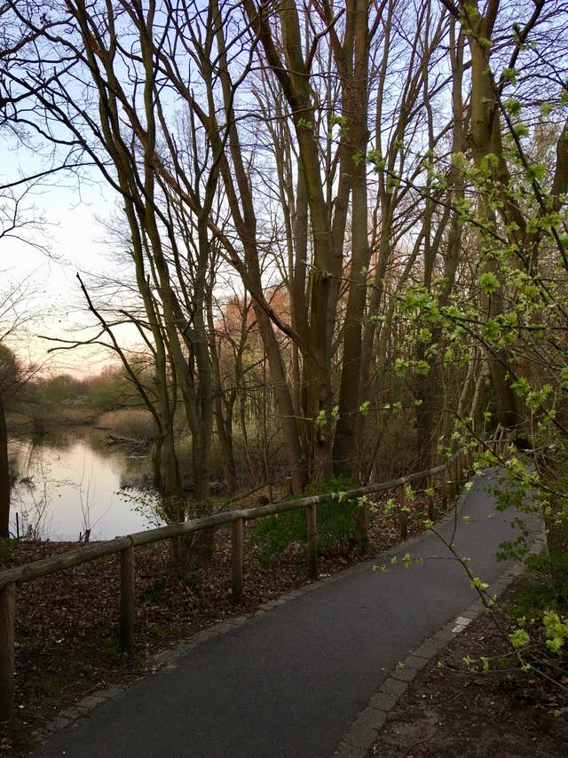 70a, Erlenweg, Kleinmachnow, Potsdam-Mittelmark, Brandenburg, 14532, Germany