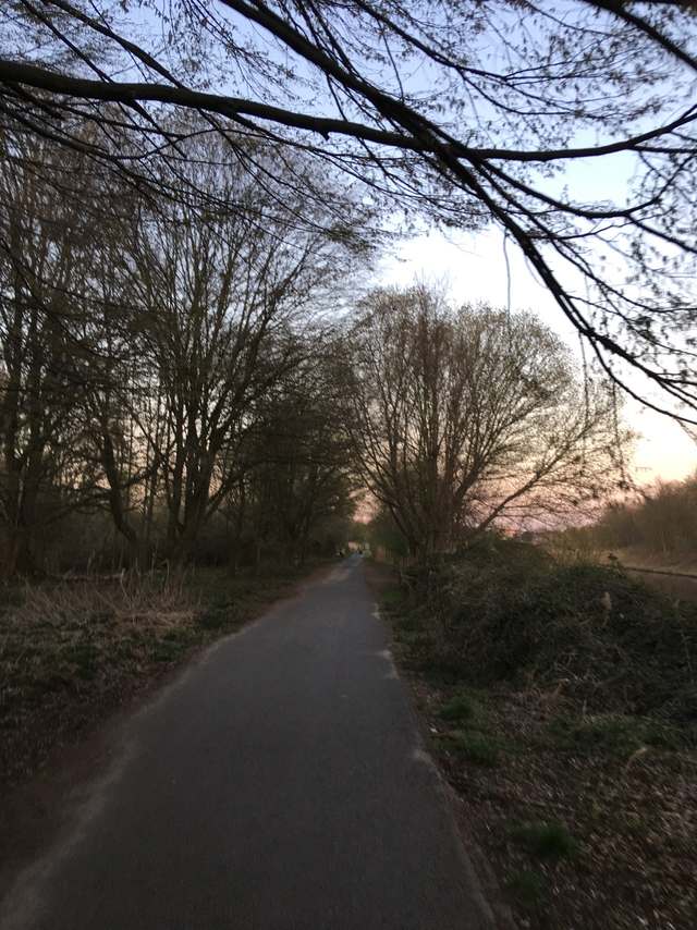 Biomassekraftwerk Teltow, Trampelpfad, Teltow, Potsdam-Mittelmark, Brandenburg, 14513, Germany