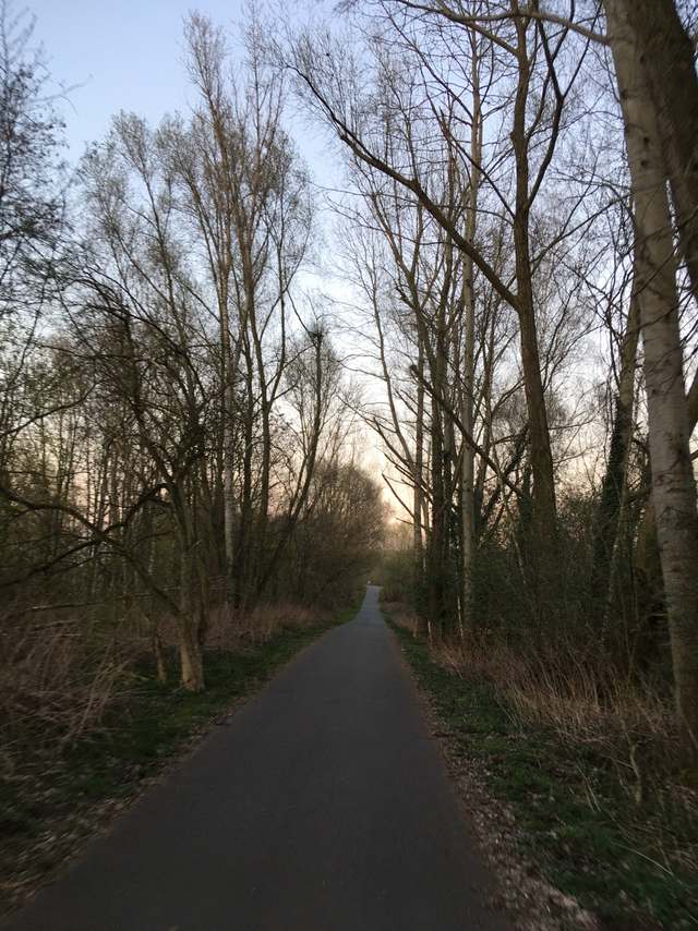 Evangelisches Diakonissenhaus Teltow, 45, Lichterfelder Allee, Seehof, Teltow, Potsdam-Mittelmark, Brandenburg, 14513, Germany