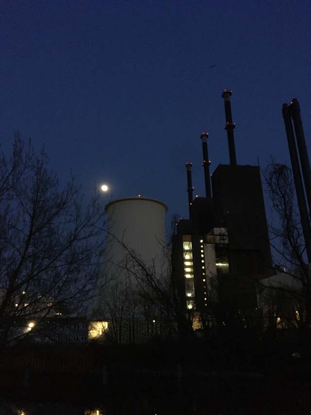 51, Uferweg, Gartensiedlung Giesensdorf, Lichterfelde, Steglitz-Zehlendorf, Berlin, 12207, Germany