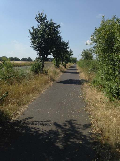 Straße nach Arkenberge, Französisch Buchholz, Pankow, Berlin, 13127, Germany
