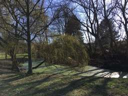 Autohaus GBR, Dammweg, Weiße Siedlung, Neukölln, Berlin, 12057, Germany