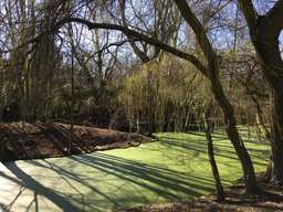 185, Dammweg, Plänterwald, Treptow-Köpenick, Berlin, 12437, Germany