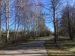 183, Dammweg, Plänterwald, Treptow-Köpenick, Berlin, 12437, Germany