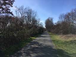 Birkenweg, Kleingartenanlage Harmonie, Baumschulenweg, Treptow-Köpenick, Berlin, 12437, Germany