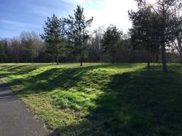 A 113, Altglienicke, Treptow-Köpenick, Berlin, 12524, Germany