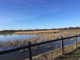 Mauerweg, Rudow, Neukölln, Berlin, 12355, Germany