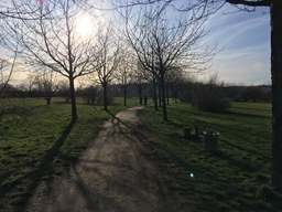 Mauerweg, Gartenstadt Rudow – Frauenviertel, Rudow, Neukölln, Berlin, 12355, Germany