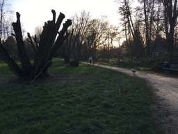 3, Klein-Ziethener Weg, Postsiedlung, Rudow, Neukölln, Berlin, 12355, Germany