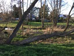 3, Klein-Ziethener Weg, Postsiedlung, Rudow, Neukölln, Berlin, 12355, Germany