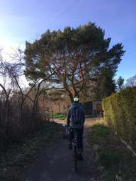 61, Welsumerpfad, Postsiedlung, Rudow, Neukölln, Berlin, 12355, Germany