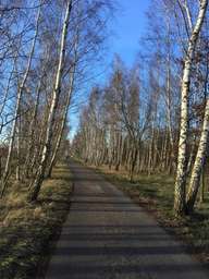 Rudower Allee, Schönefeld, Großziethen, Dahme-Spreewald, Brandenburg, 12529, Germany
