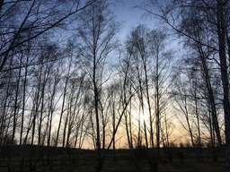 81, Söderblomweg, Rudow, Neukölln, Berlin, 12355, Germany