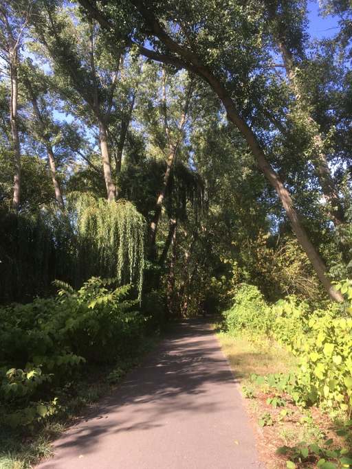 Weg an der Panke, Französisch Buchholz, Pankow, Berlin, 13127, Germany