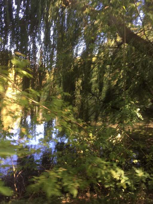 Weg an der Panke, Französisch Buchholz, Pankow, Berlin, 13127, Germany