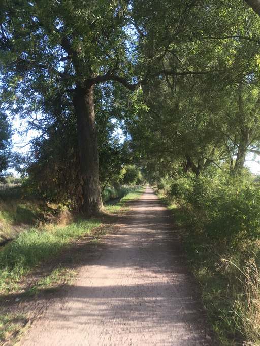 Märchenweg, Stadtrandsiedlung Malchow, Pankow, Berlin, 13129, Germany