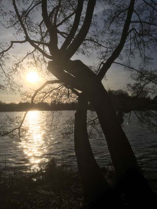 14, Jörsstraße, Tegelort, Konradshöhe, Reinickendorf, Berlin, 13505, Germany