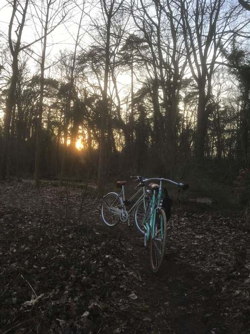 Schwarzer Weg, Tegel, Reinickendorf, Berlin, 13505, Germany