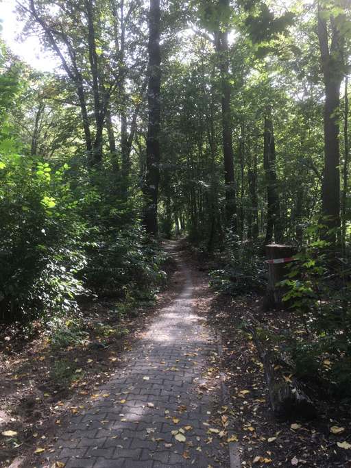 Bernauer Straße, Tegel, Reinickendorf, Berlin, 13507, Germany