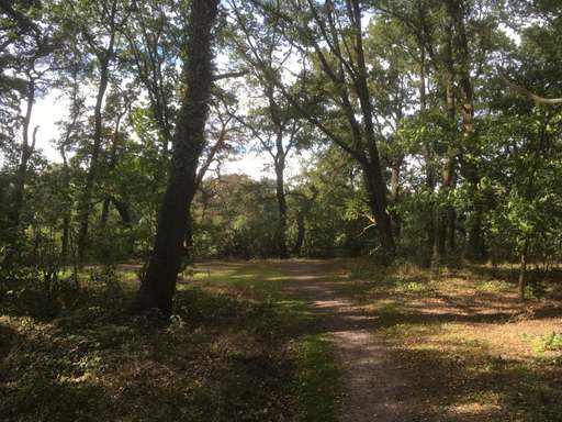 Bernauer Straße, Saatwinkel, Tegel, Reinickendorf, Berlin, 13507, Germany