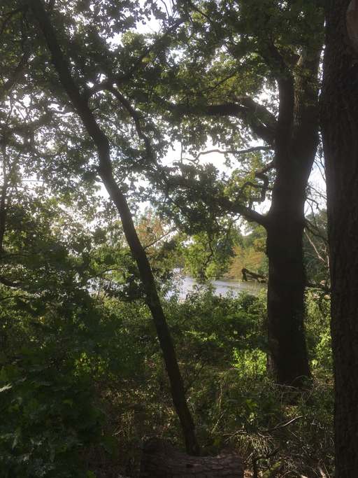 Bernauer Straße, Saatwinkel, Tegel, Reinickendorf, Berlin, 13507, Germany