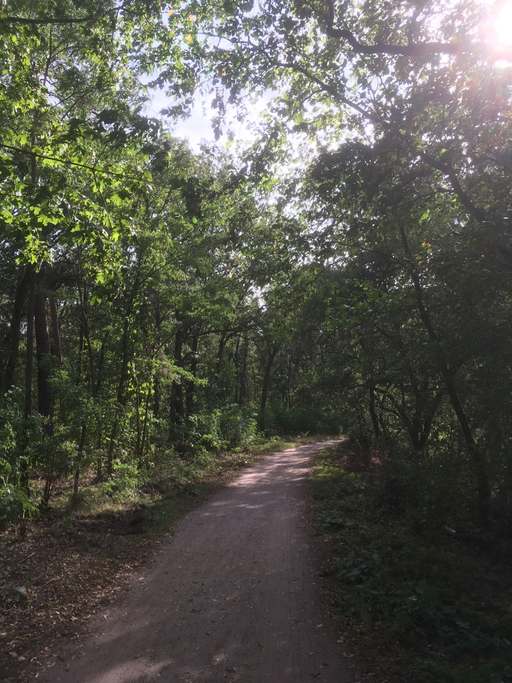 Bernauer Straße, Saatwinkel, Tegel, Reinickendorf, Berlin, 13507, Germany