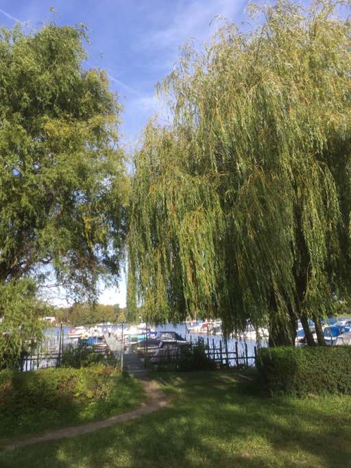 Wannseeaten, Aalemannkanalbrücke, Hakenfelde, Spandau, Berlin, 13587, Germany