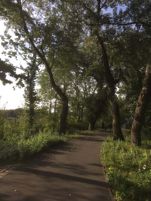 60, Hawaiiweg, Hakenfelde, Spandau, Berlin, 13587, Germany