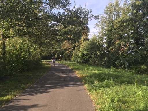 Pembabogen, Hakenfelde, Spandau, Berlin, 13587, Germany