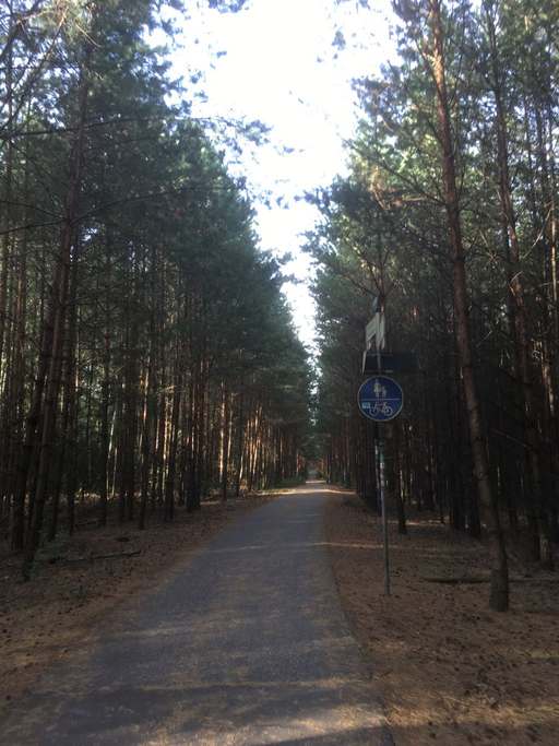 83, Niederneuendorfer Allee, Hakenfelde, Spandau, Berlin, 13587, Germany