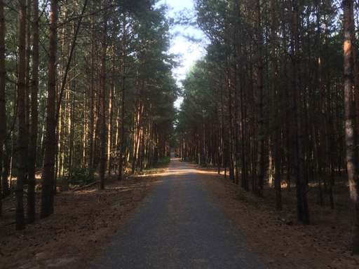 83, Niederneuendorfer Allee, Hakenfelde, Spandau, Berlin, 13587, Germany