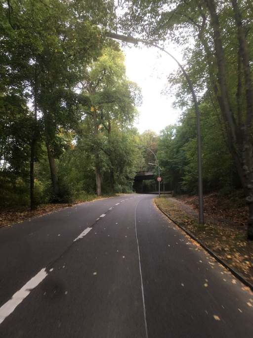 Ruppiner Chaussee, Tegel, Reinickendorf, Berlin, 13503, Germany