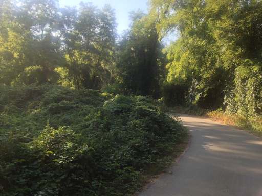 Am Kanal, Deetz, Groß Kreutz (Havel), Potsdam-Mittelmark, Brandenburg, 14550, Germany