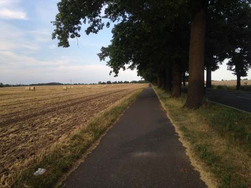 Am Feldweg, Glienicker Chaussee, Schönfließ, Mühlenbecker Land, Oberhavel, Brandenburg, 16567, Germany