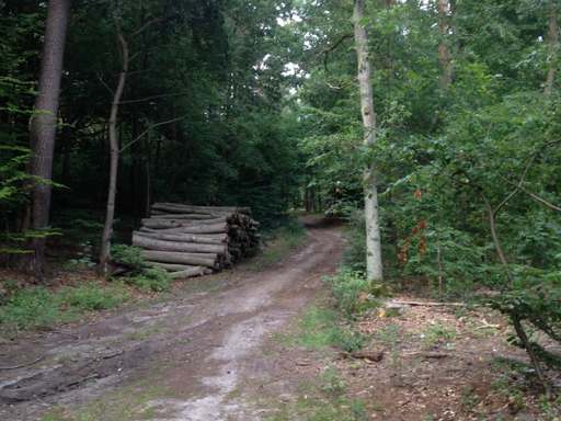 Mühlenweg, Buchenberg, Mühlenbeck, Mühlenbecker Land, Oberhavel, Brandenburg, 16567, Germany