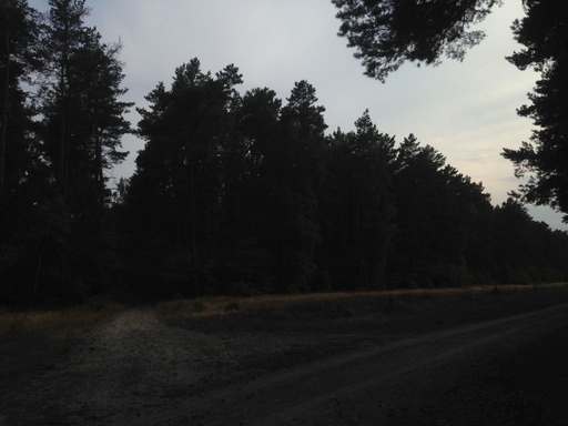 Rennegestell, Zühlsdorf, Mühlenbecker Land, Oberhavel, Brandenburg, 16567, Germany