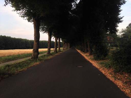 Langer Grund, Wandlitz, Barnim, Brandenburg, 16348, Germany